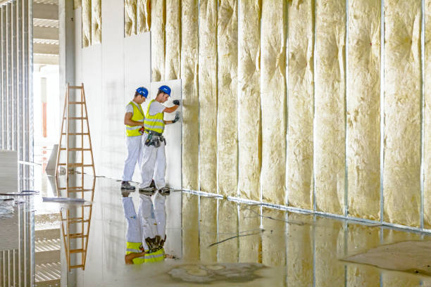 Eco-Friendly or Green Insulation Solutions in Paducah, KY